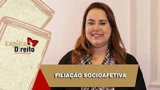 Explica Direito Filiação Socioafetiva  2019 [upl. by Leonsis]